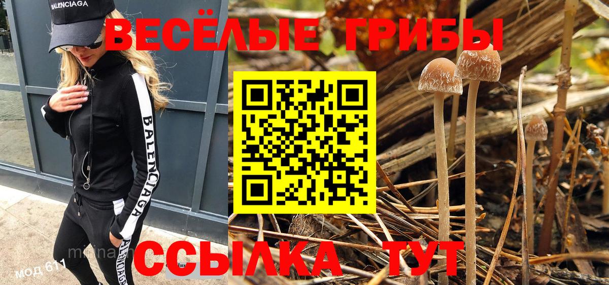 Галлюциногенные грибы Magic Shrooms Луховицы